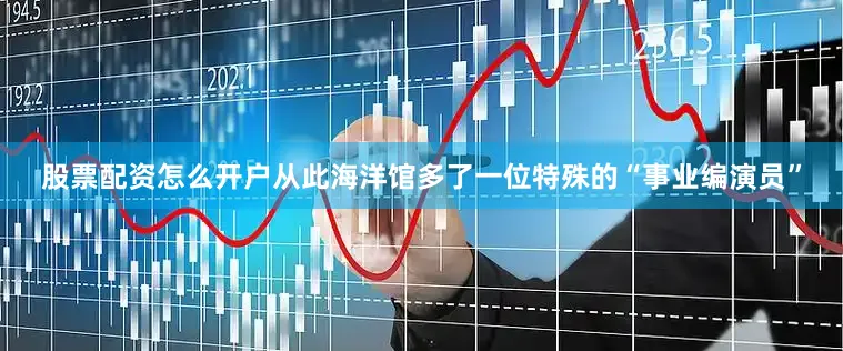 股票配资怎么开户从此海洋馆多了一位特殊的“事业编演员”