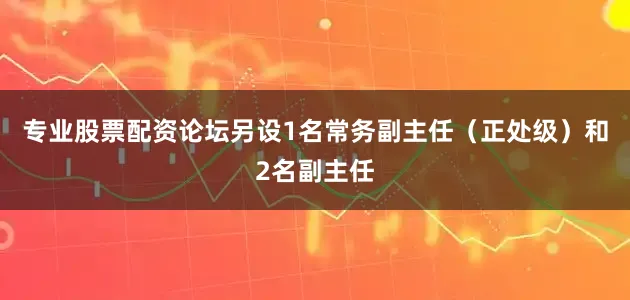 专业股票配资论坛另设1名常务副主任（正处级）和2名副主任